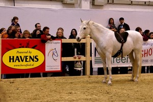 HAVENS Pferdefutter