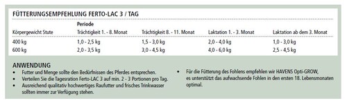 Trächtigkeit und Stute mit Fohlen