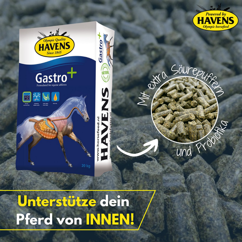 Bestseller: HAVENS Gastro+
