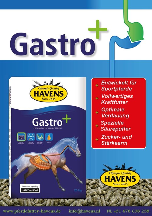 HAVENS Gastro+