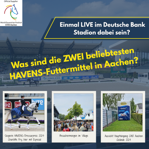 Teilnahmebedingungen Aktionen