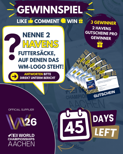 Teilnahmebedingungen Aktionen