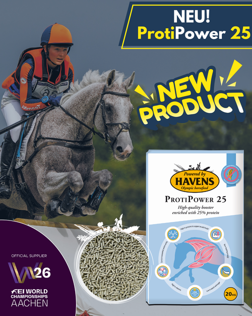 NEU: ProtiPower25