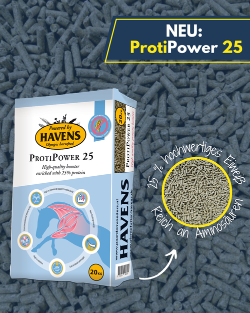 NEU: ProtiPower25