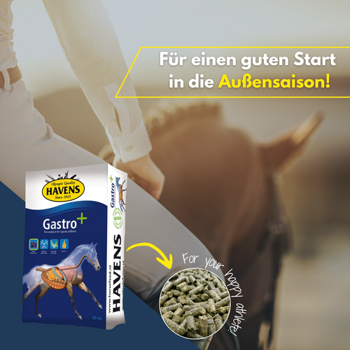 Bestseller: HAVENS Gastro+