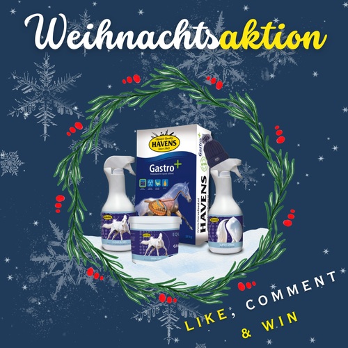 Teilnahmebedingungen Aktionen